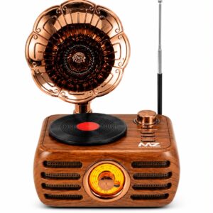 Retro Radio with BT Speaker